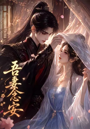 吾妻念安（24集）短剧中追到爽