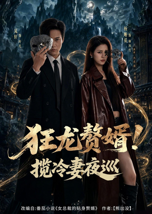 狂龙赘婿！揽冷妻夜巡（80集）免费短剧资源
