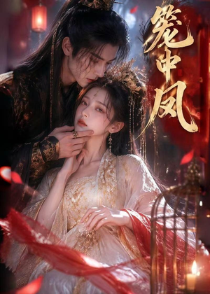 笼中凤（44集）精彩短剧看全集