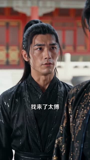 丑颜弃女,太子求我入东宫(56集) 丑颜弃女,太子求我入东宫(56集)1-102集