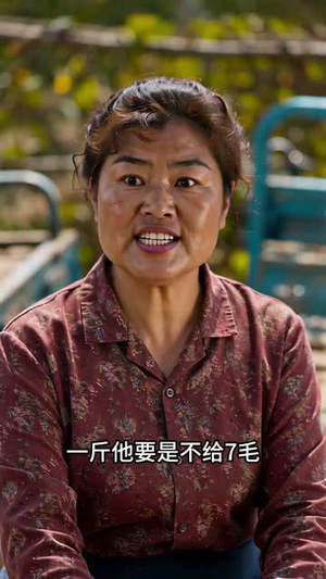 都市收菜女王（40集）短剧在线更新