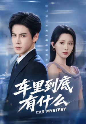 车里到底有什么(51集) 车里到底有什么(51集)短剧在线看