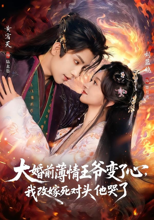 揽风华（92集）短剧免费看
